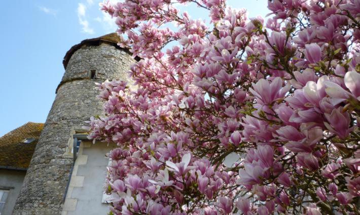 Отель Relais De Chasse Sasu Guta Chantenay-Saint-Imbert Экстерьер фото
