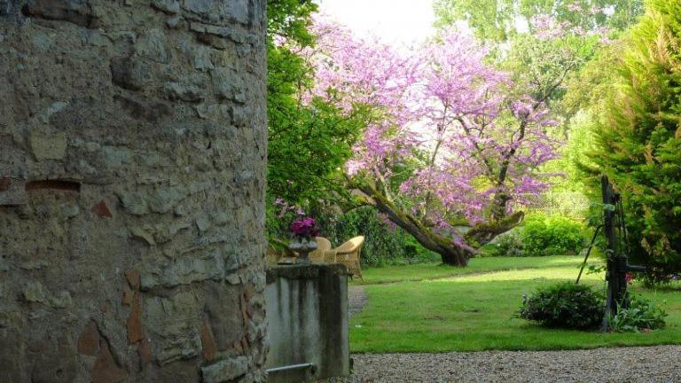 Отель Relais De Chasse Sasu Guta Chantenay-Saint-Imbert Экстерьер фото
